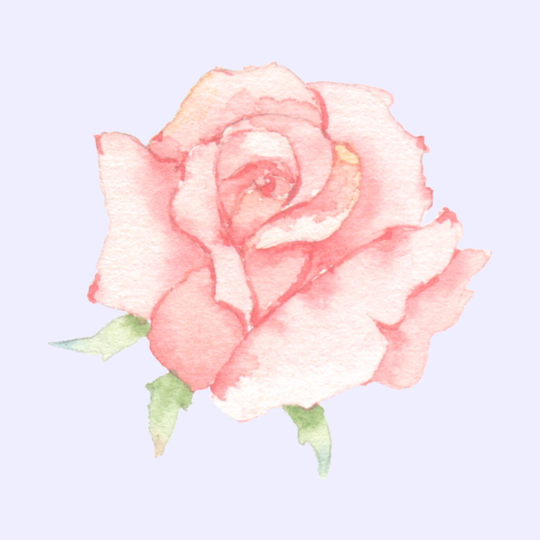 Rose Flower